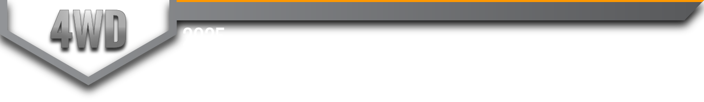 TRAIL BOSS